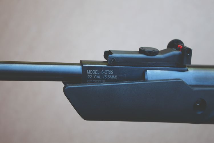 Crosman Vital Shot air rifle