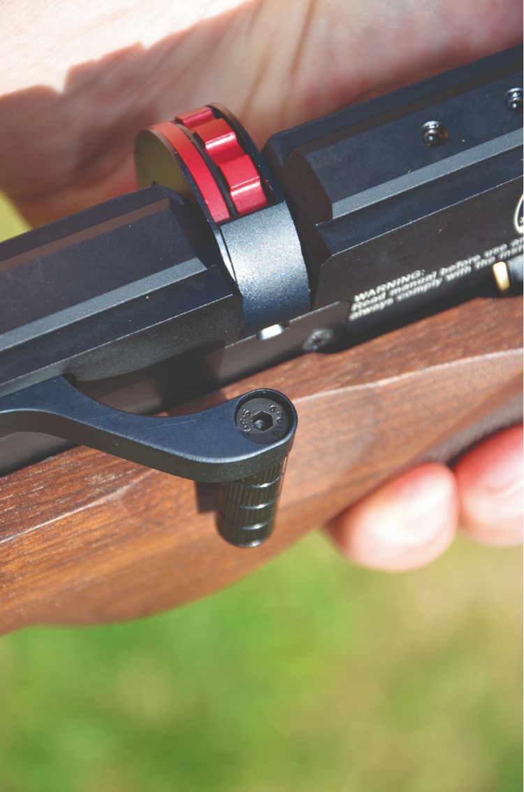 BSA R12 CLX  Pro Carbine (Walnut) 