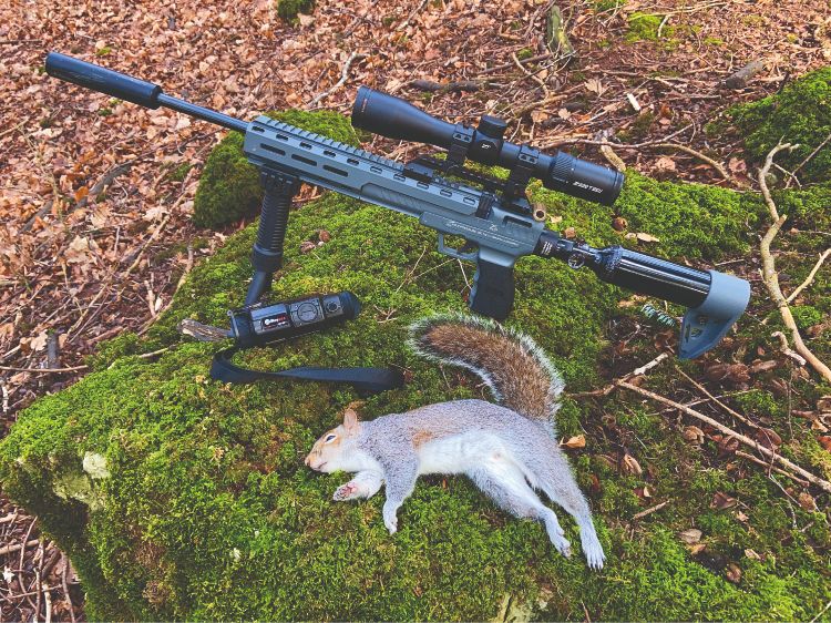 Nemesis X air rifle and shot grey squirrel